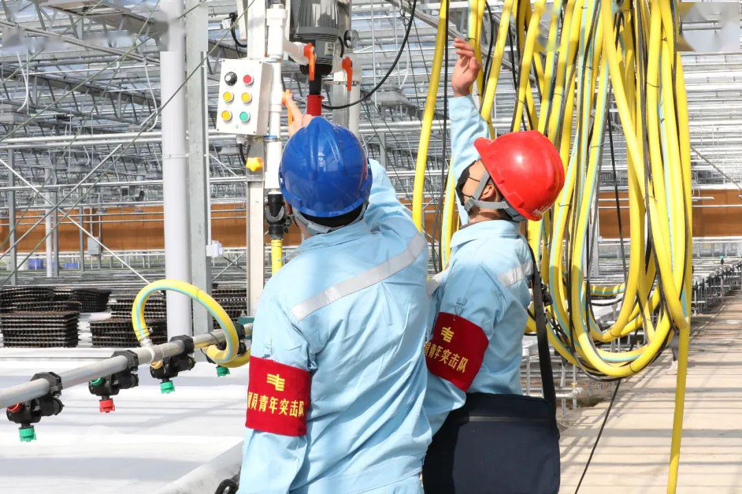 草海機場最新動態(tài)揭秘，建設進展、航班信息及未來展望