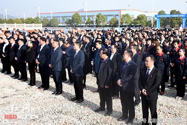 韶山紅網(wǎng)最新動(dòng)態(tài)，觀點(diǎn)闡述與深度解析