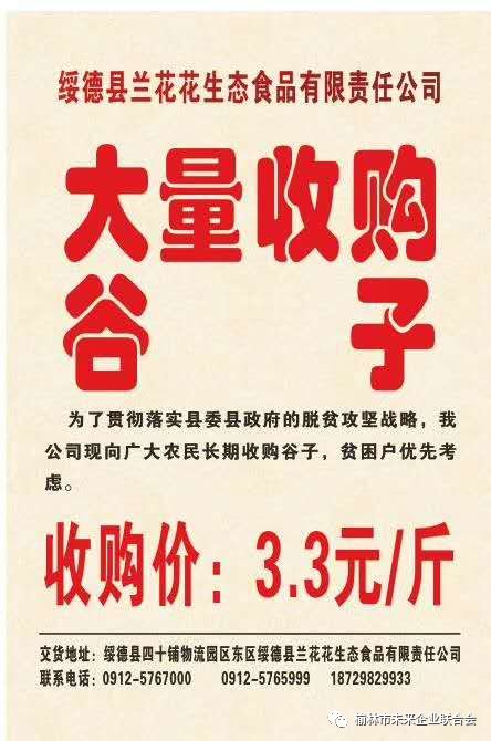 淄川最新財務(wù)招聘，職業(yè)發(fā)展的理想選擇