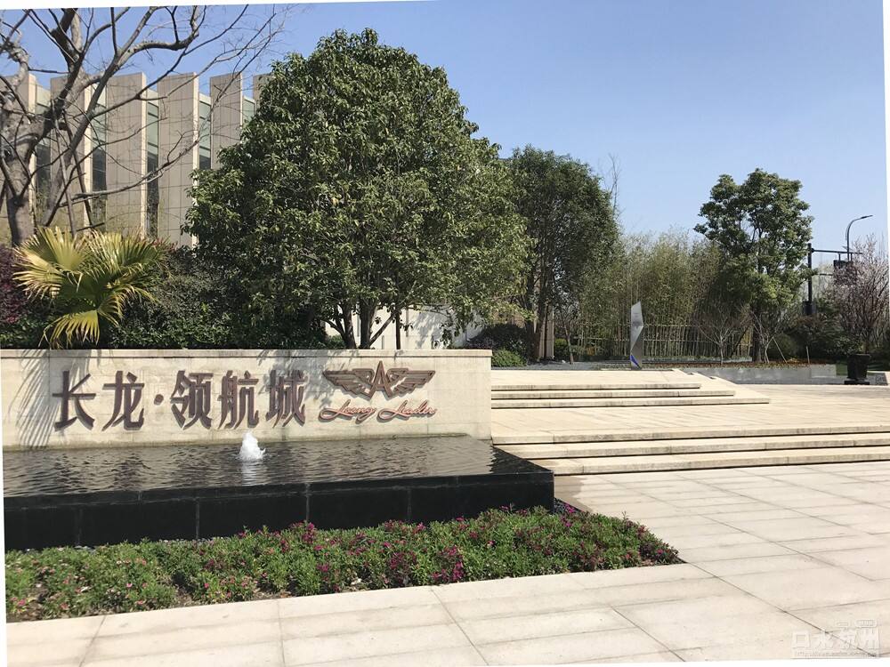 長(zhǎng)龍領(lǐng)航最新動(dòng)態(tài)，駕馭變革，開啟知識(shí)海洋的勵(lì)志之旅