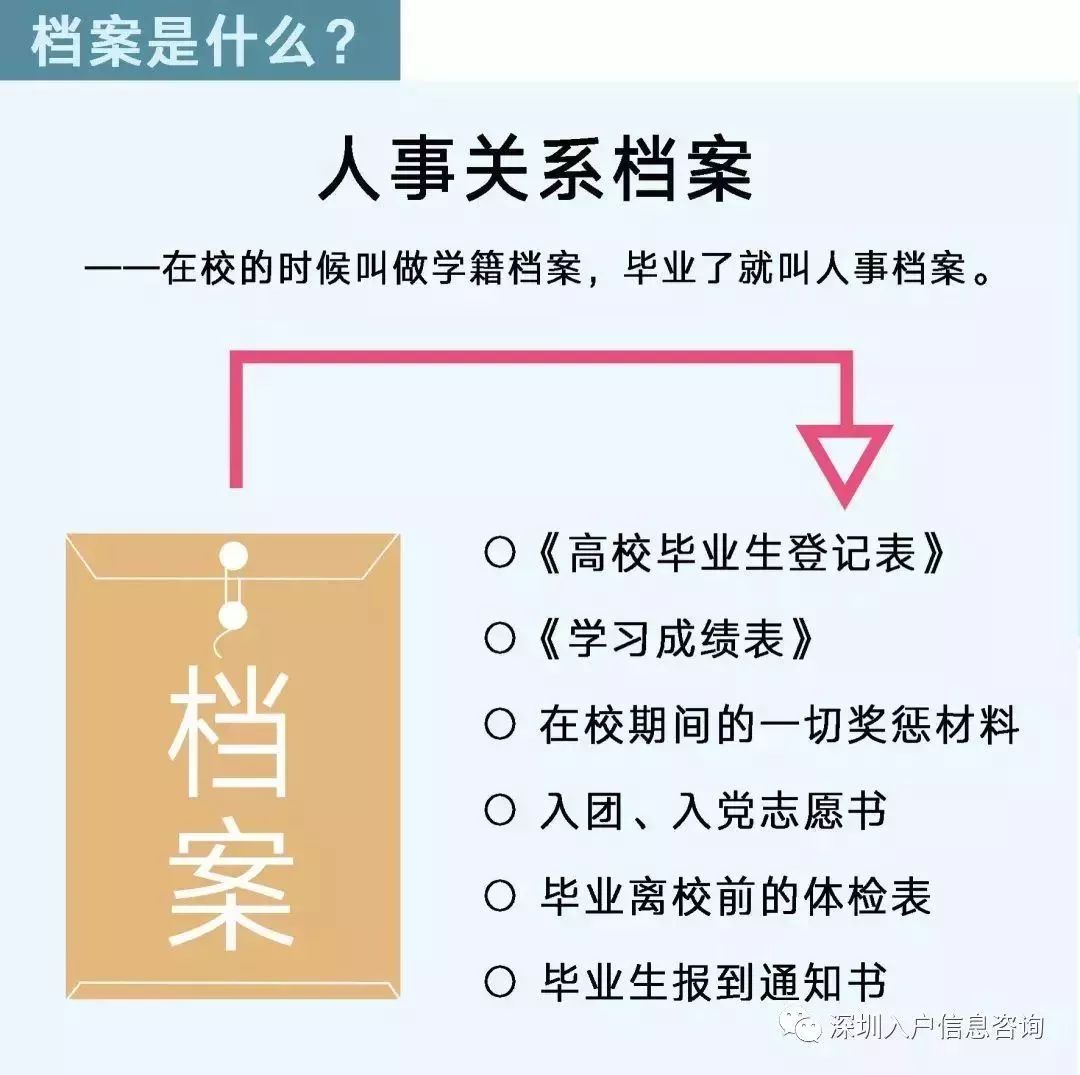 檔案人員補(bǔ)貼最新觀點(diǎn)論述，探討補(bǔ)貼政策與檔案人員發(fā)展的關(guān)系