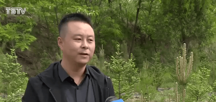 澳門今晚上必開一肖,新技術(shù)推動方略_BPJ27.868方案版