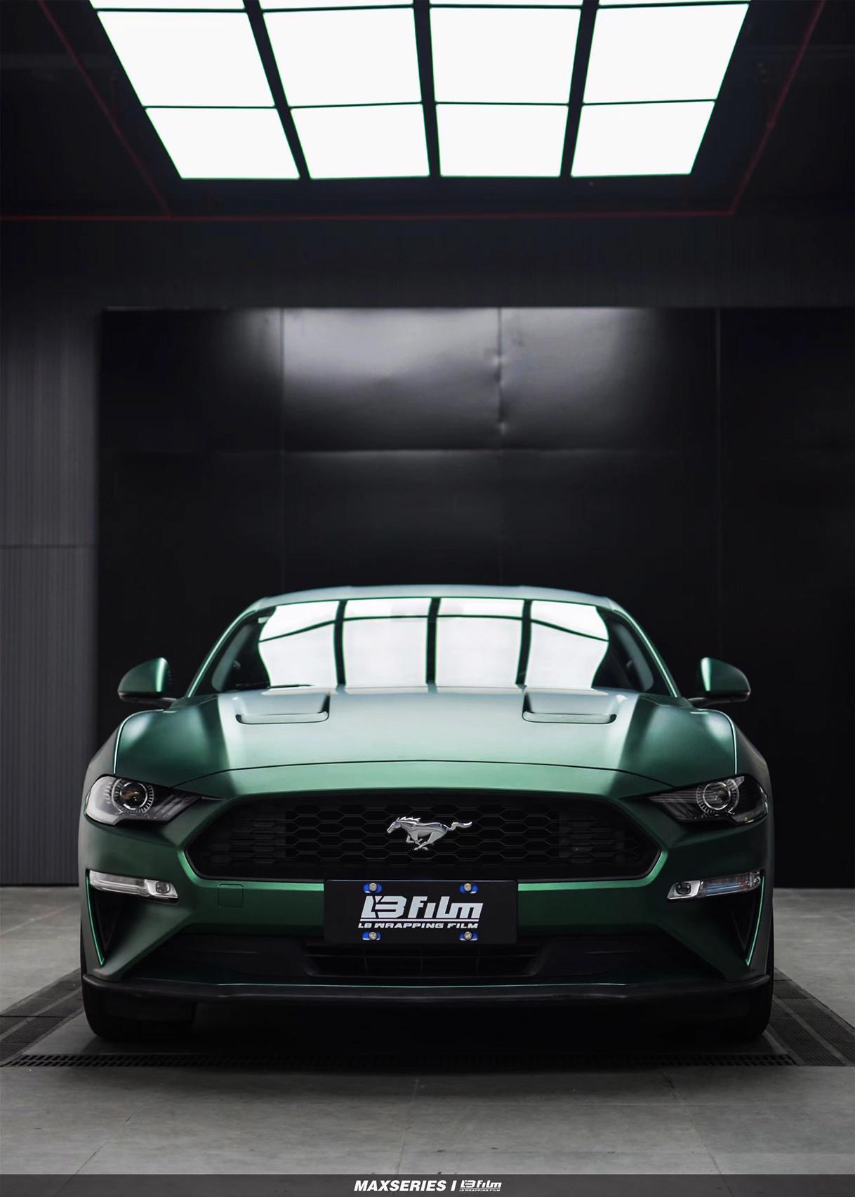 最新野馬汽車(chē)，技術(shù)革新與市場(chǎng)競(jìng)爭(zhēng)的展現(xiàn)