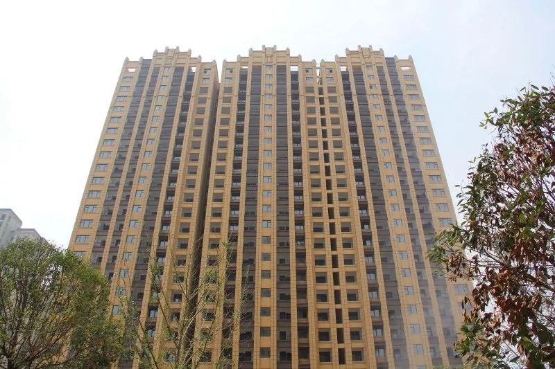 紫荊城邦最新動態(tài)，揭開未來生活新篇章的序幕