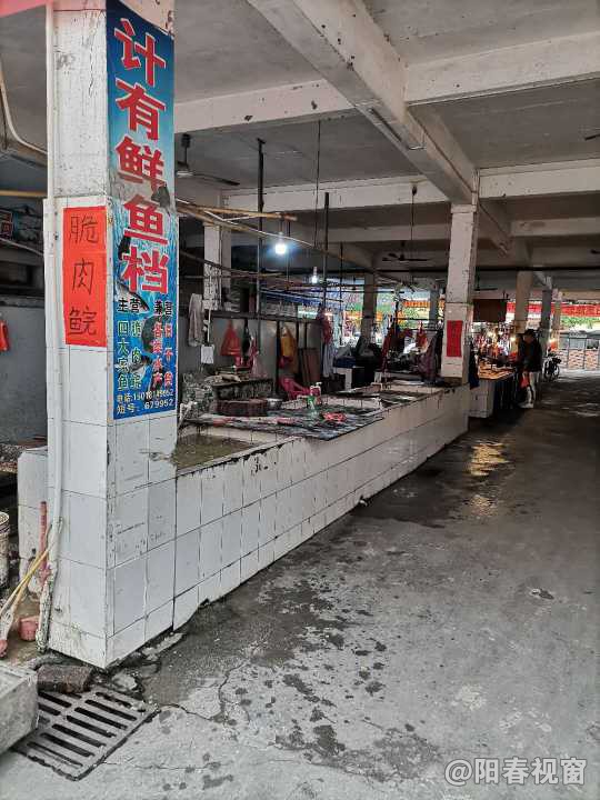 最新魚(yú)檔轉(zhuǎn)讓?zhuān)盐丈虣C(jī)，輕松開(kāi)啟水產(chǎn)養(yǎng)殖事業(yè)之路