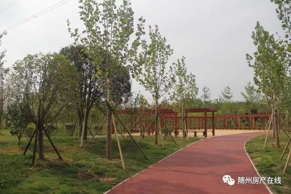 隨州桃園公園最新動態(tài)揭秘，驚喜連連，不容錯過！