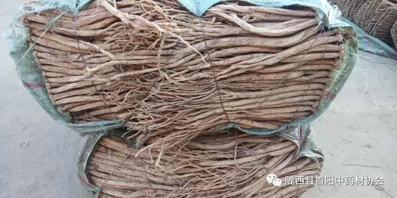 渭源黨參干貨最新價格及獲取指南，了解黨參干貨價格走勢與行情分析