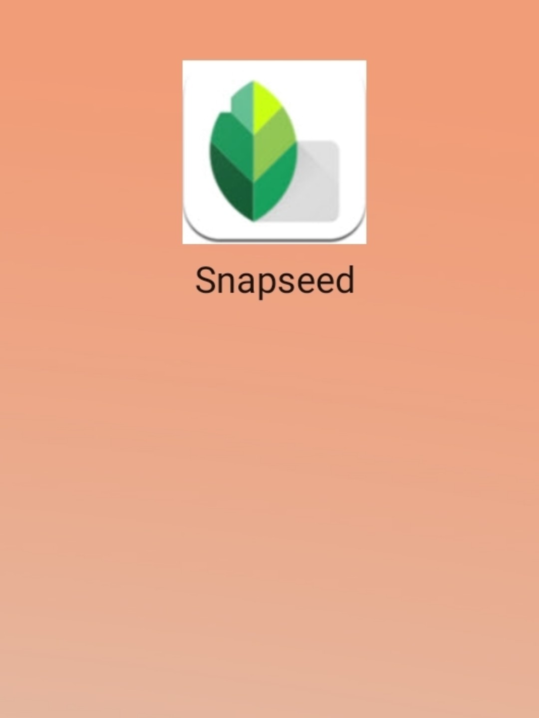 最新snapseed中文版，科技重塑影像，讓生活因攝影更精彩