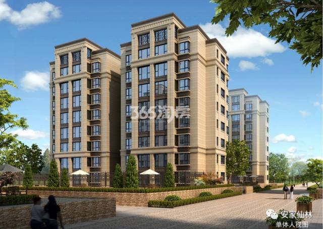 銀城東岳府最新動態(tài)分析揭秘，最新消息與進展