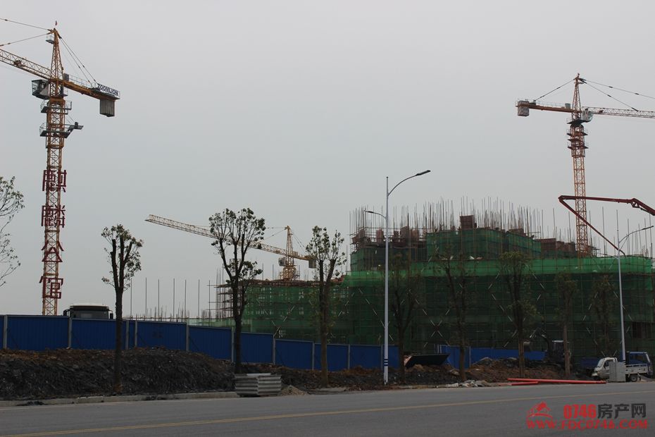 池州麒麟公館最新動(dòng)態(tài)揭秘，最新進(jìn)展與資訊更新