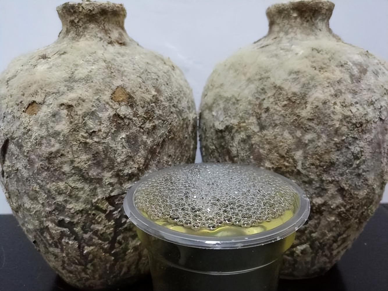 仁懷房屋出售最新信息，科技與家居融合，未來家居新體驗重磅推出