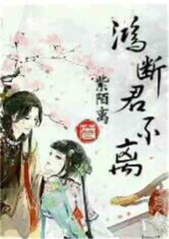 沈南汐最新小說(shuō)，知識(shí)的力量，成就夢(mèng)想的翅膀之路