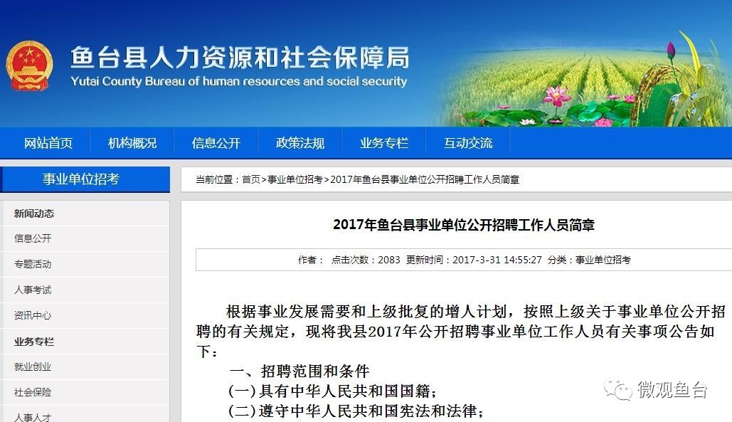 魚臺最新招聘信息大全，求職步驟指南與招聘信息更新速遞