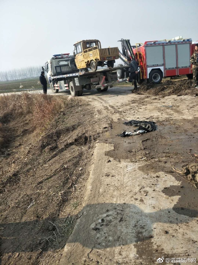 泗縣車禍悲劇，警醒與深思背后的最新新聞報(bào)道