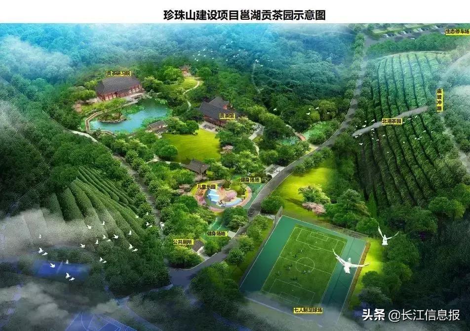 岳陽(yáng)北港小學(xué)最新動(dòng)態(tài)揭秘，校園新聞與活動(dòng)更新