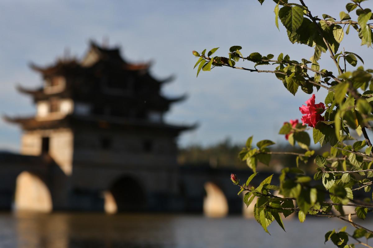 大冰最新力作，智能生活新紀(jì)元——科技與生活的完美融合