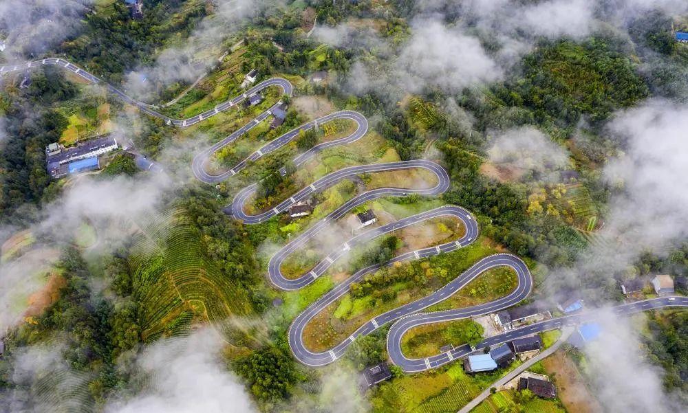 奉節(jié)云霧鄉(xiāng)的最新動(dòng)態(tài)與溫馨日常，云霧中的快樂(lè)時(shí)光