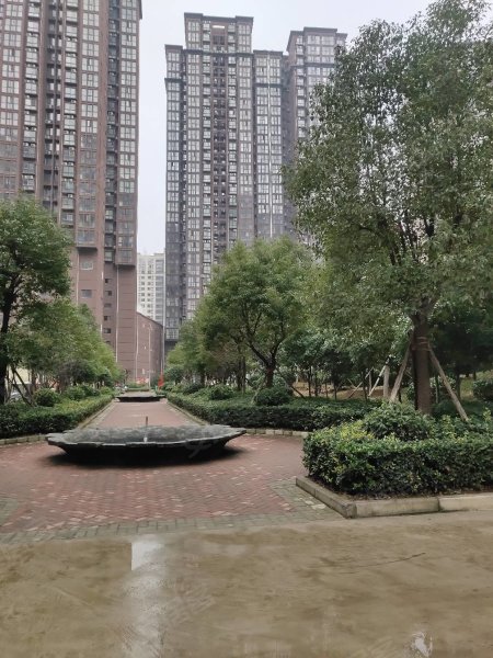 南陽(yáng)盛世御苑最新動(dòng)態(tài)揭秘，全面指南與步驟詳解