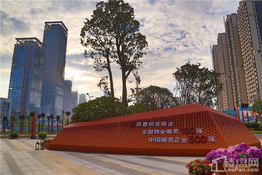 南寧彰泰城最新動態(tài)，解讀其最新發(fā)展及影響的一種觀點分析