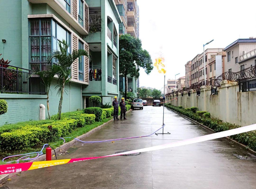 中山東鳳佛奧最新動態(tài)，自然美景的探索之旅，尋找內(nèi)心平和與寧靜