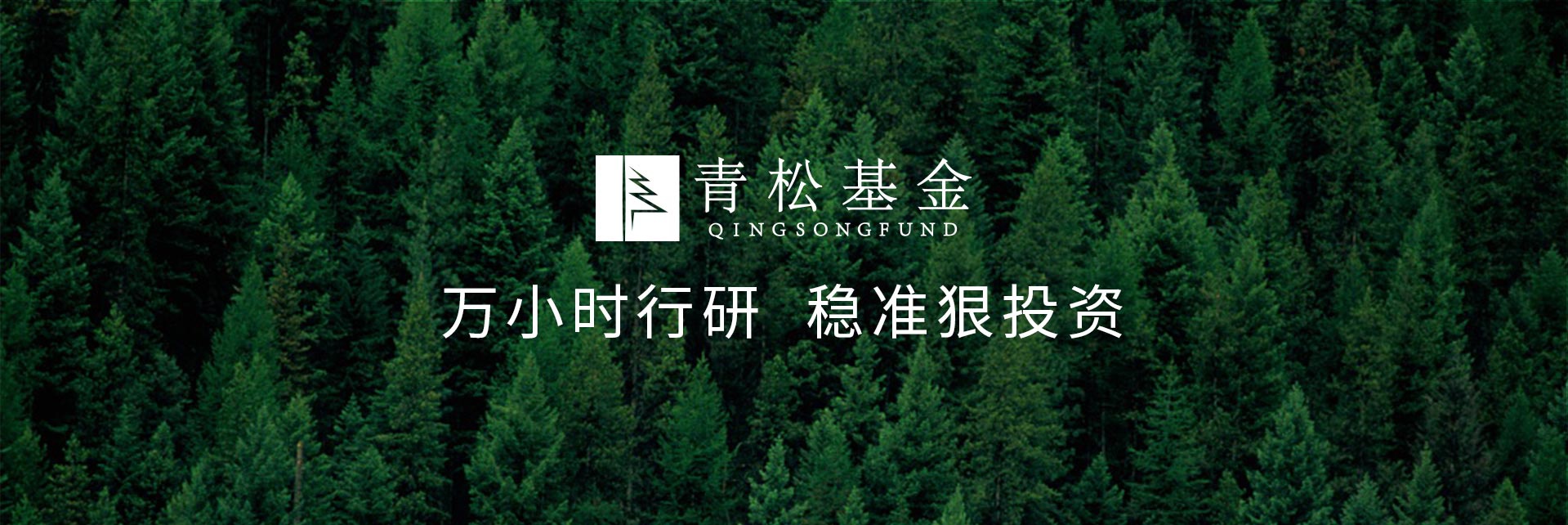 長青樹眾籌最新動態(tài)，背景、發(fā)展與時代地位探索