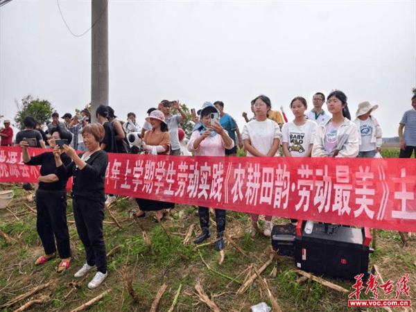 桃源木塘垸鄉(xiāng)新動態(tài)，趣事連連，真摯友情綻放鄉(xiāng)間