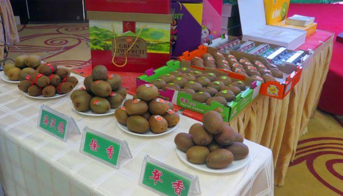 嘉興對(duì)接上海最新進(jìn)展，城市崛起中的自信與成就感展現(xiàn)新面貌