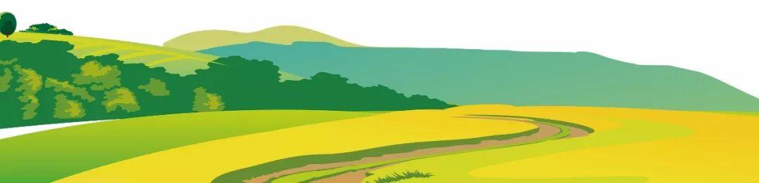 藍(lán)田縣未來(lái)藍(lán)圖，最新發(fā)展規(guī)劃揭秘