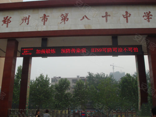 中原區(qū)九龍城最新動(dòng)態(tài)深度解析，最新進(jìn)展與觀點(diǎn)闡述