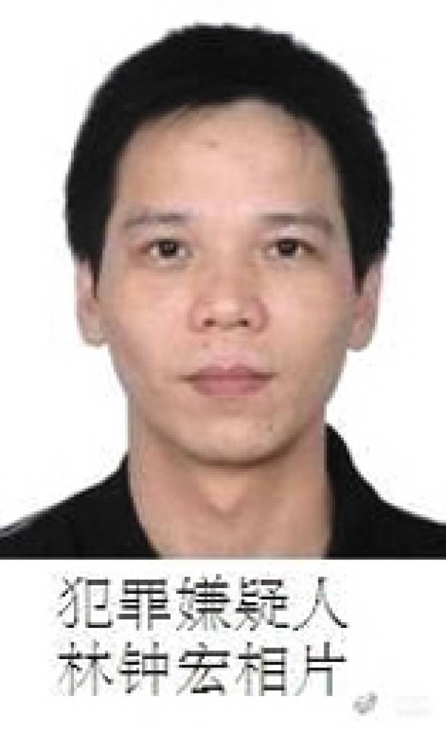 張宸案最新進(jìn)展，城市生活的溫馨日常關(guān)注