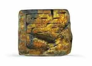 余厚蜀最新動態(tài)，科技前沿探索與行業(yè)創(chuàng)新引領(lǐng)