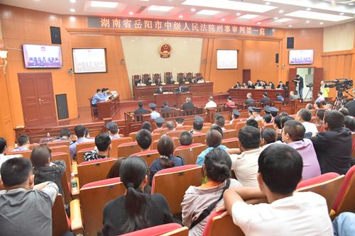 聶祖峰最新探索之旅，自然美景中的心靈尋覓與平和之境