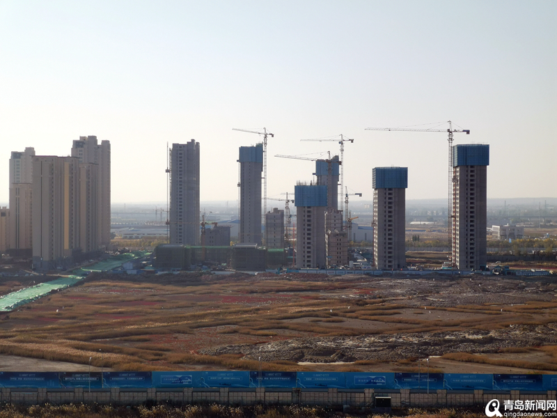 青島最新項目啟航新征程，自信成就夢想之路