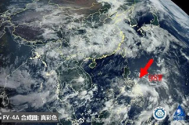 臺風鸚鵡的最新動態(tài)，逆風翱翔的力量與學習魅力