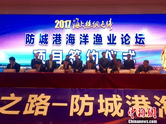 防誠港最新,防誠港的最新發(fā)展，機遇與挑戰(zhàn)并存