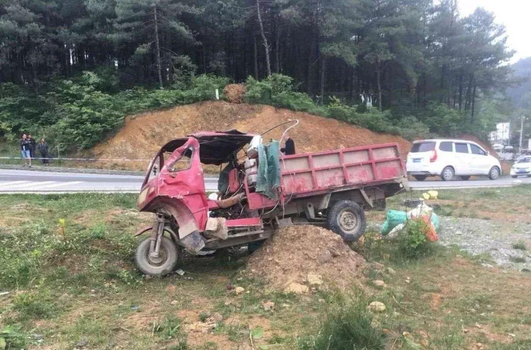 平山事故背后的溫馨故事，友情、愛與陪伴的奇遇