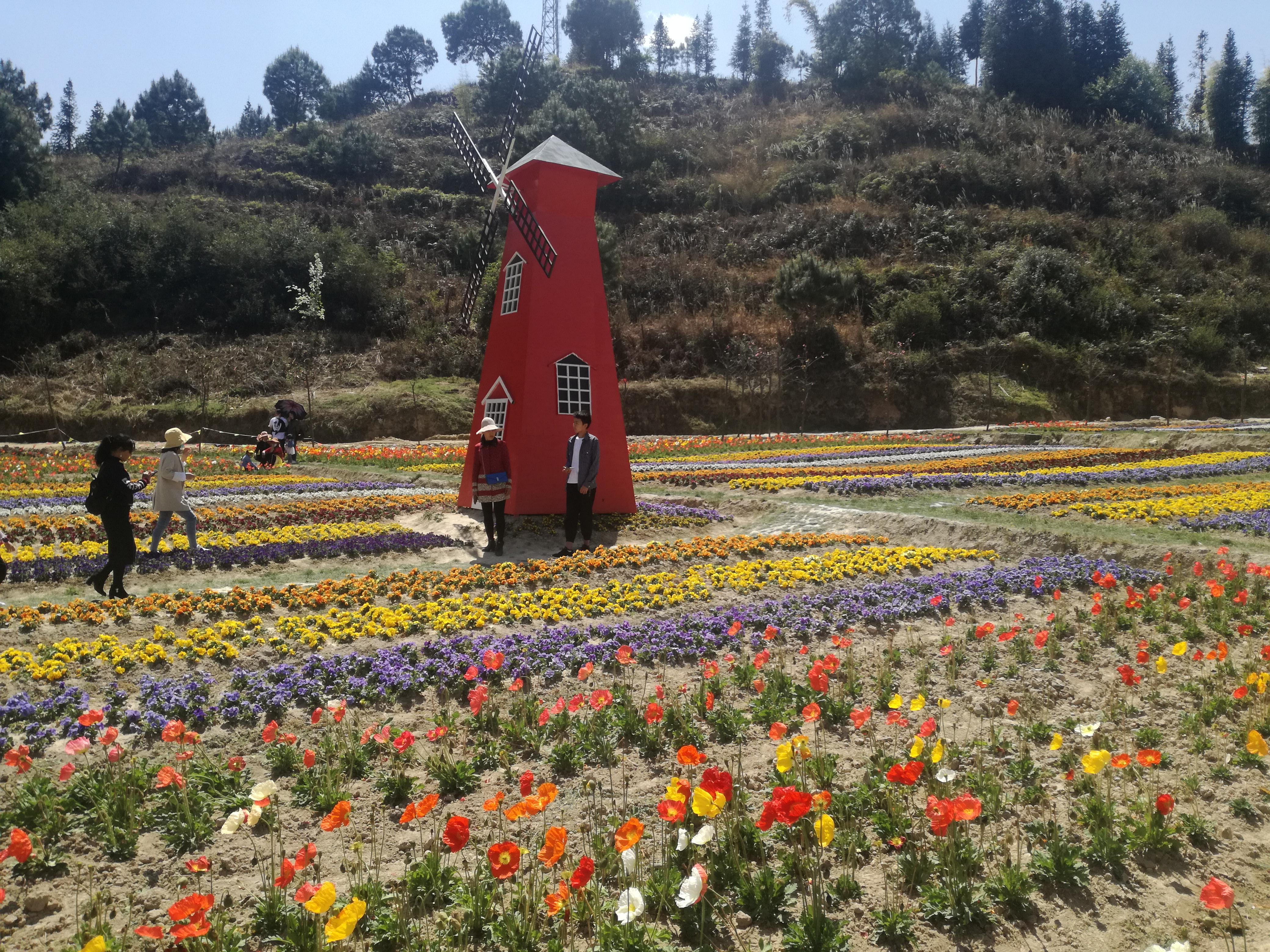 臨滄市最新探索，自然美景之旅，尋找內(nèi)心平和的旅程