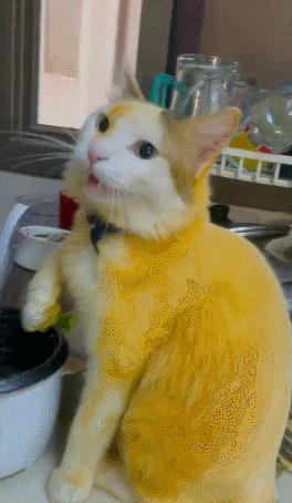 男友最新動(dòng)態(tài)，科技巔峰之作，引領(lǐng)未來(lái)生活新紀(jì)元風(fēng)潮