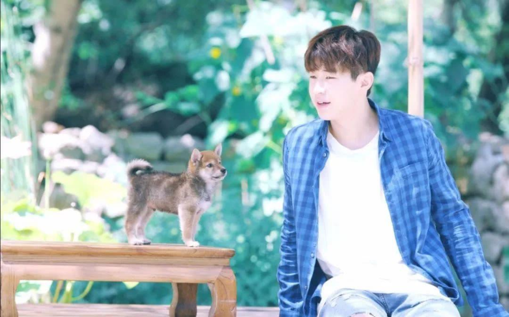 夏雪黃磊攜手演繹別樣精彩人生，新作品震撼來襲！???