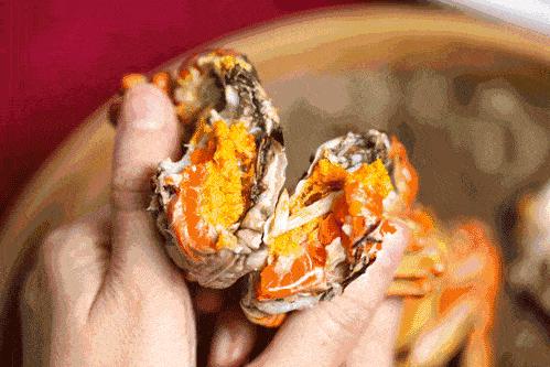 ??陽澄湖螃蟹上市季節(jié)情報(bào)，吃貨必知的秋季美味盛宴！??