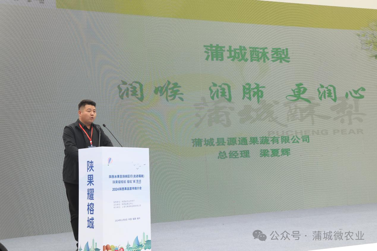 梨城資訊速遞，探索梨城新動態(tài)與發(fā)展趨勢