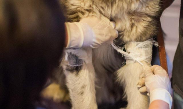 蘇州近期街邊情況，自然美景的心靈之旅體驗紀(jì)實