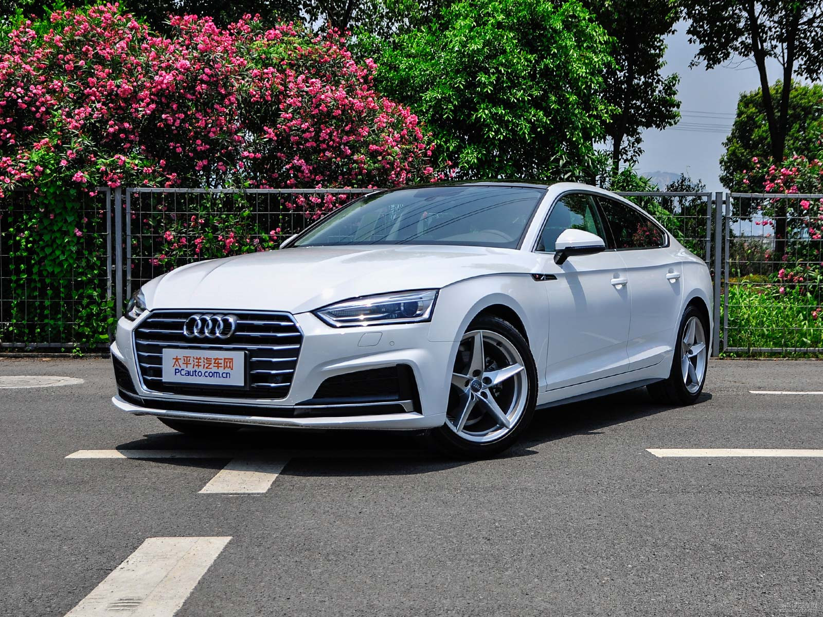 新款?yuàn)W迪A5價(jià)格及圖片，自然美景探索之旅的絕佳選擇