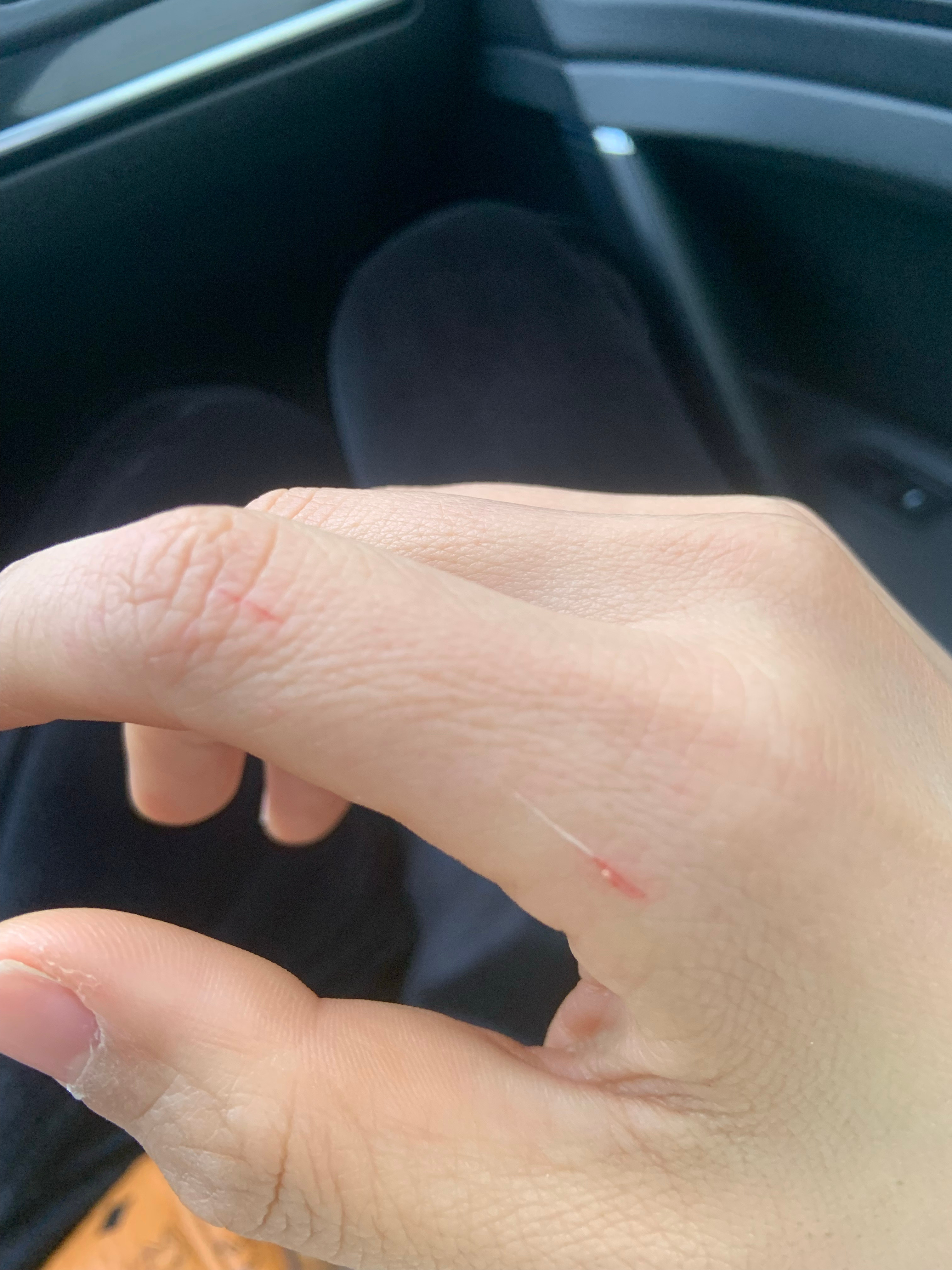 最新口子，開啟學(xué)習(xí)之旅，擁抱變化的力量