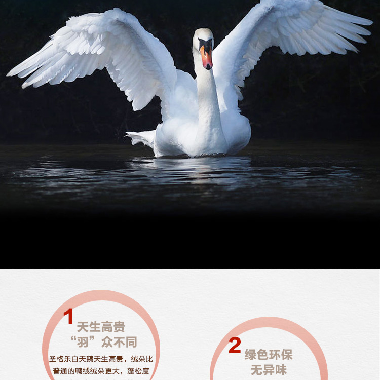 探索小巷羽絨寶藏，90白鵝絨價格與溫暖故事