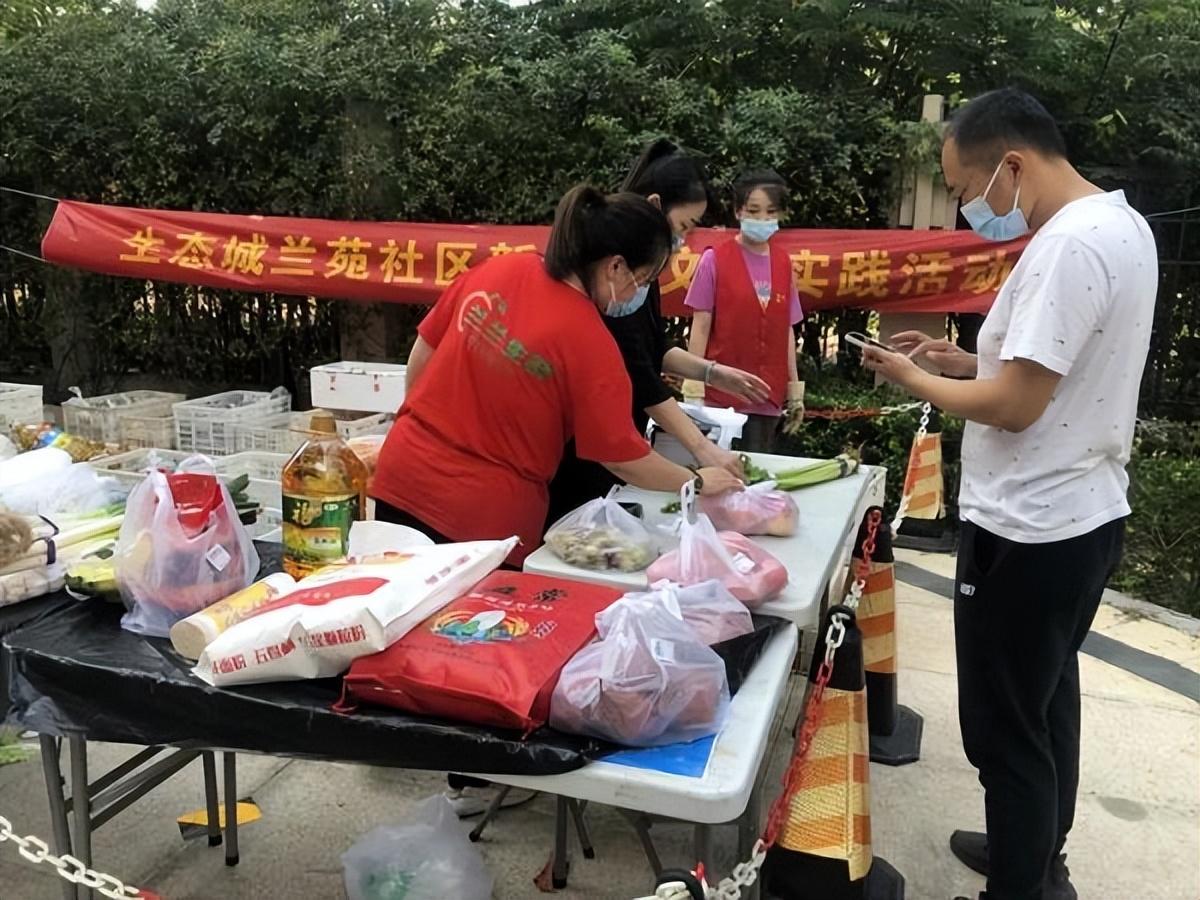 保利華潤紫云價格深度解析，探尋背后的故事與地位影響