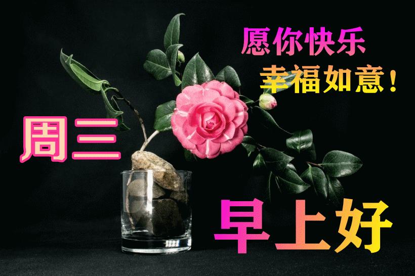 最新早晨問候動態(tài)表情包，溫馨問候，從表情開始！