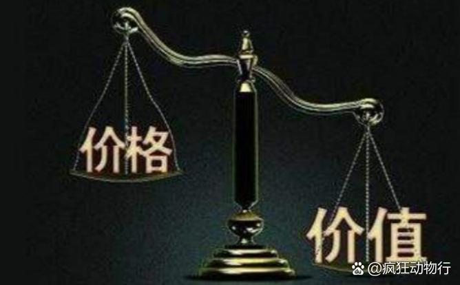 價格與價值解析，差異何在？