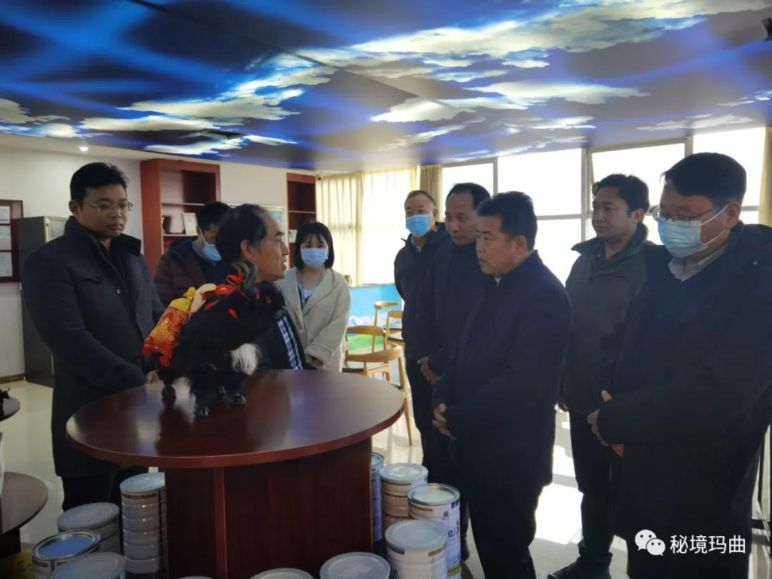 高原之寶上市，學(xué)習(xí)、蛻變與自信的輝煌之旅