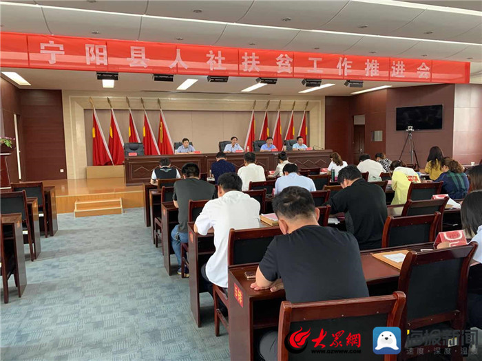 寧陽網(wǎng)最新資訊，城市中的溫情日常